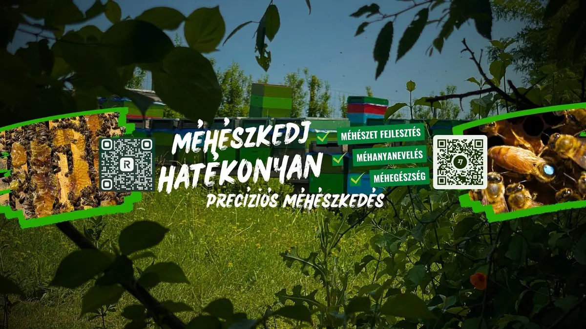 MIT JELENT A PRECÍZIÓS MÉHÉSZET? 🤔