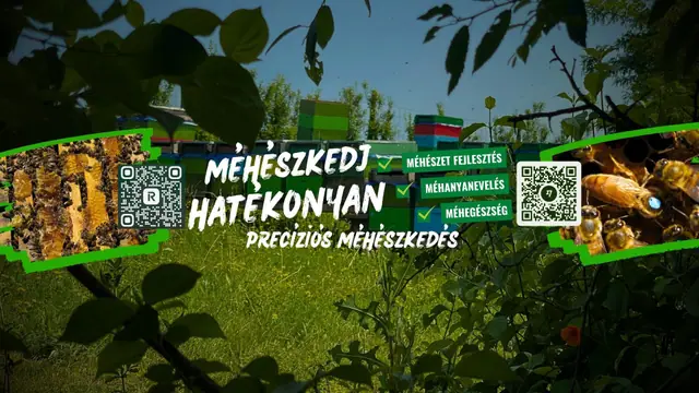MIT JELENT A PRECÍZIÓS MÉHÉSZET? 🤔